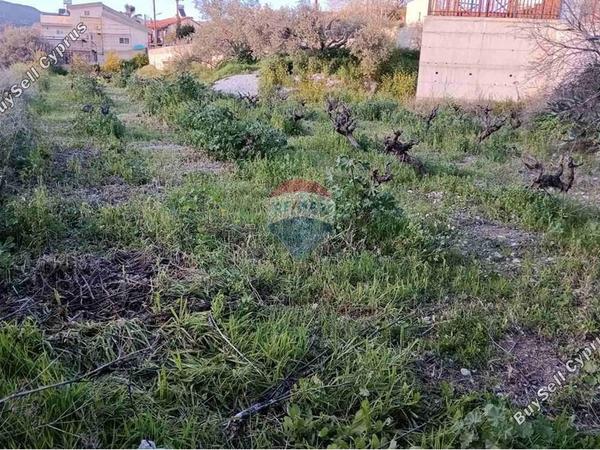 land for sale doros limassol 7507824 image 14143887