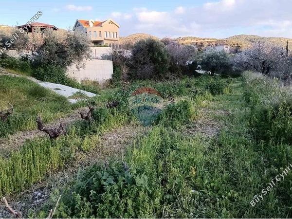 land for sale doros limassol 7507824 image 14143889