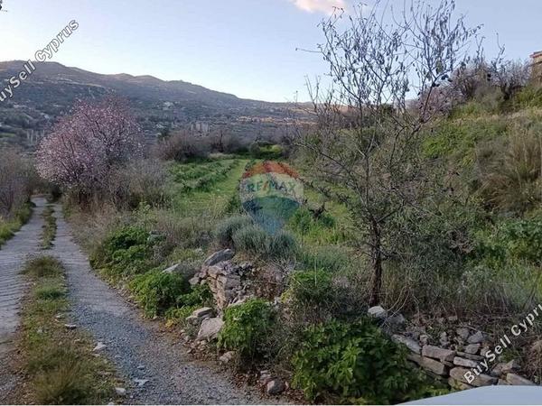 land for sale doros limassol 7507824 image 14143892