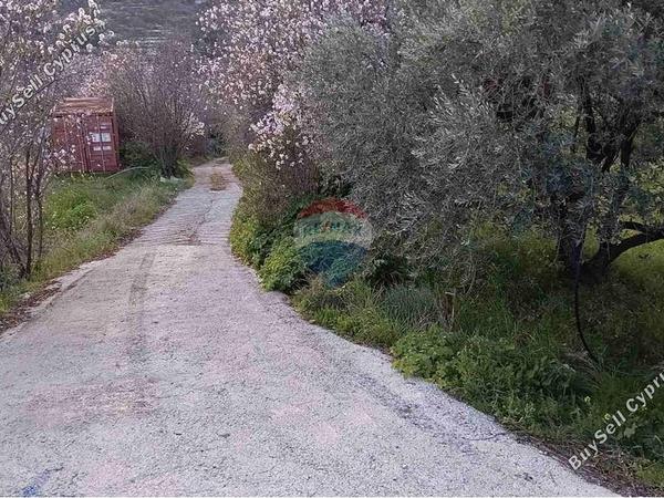 land for sale doros limassol 7507824 image 14143893