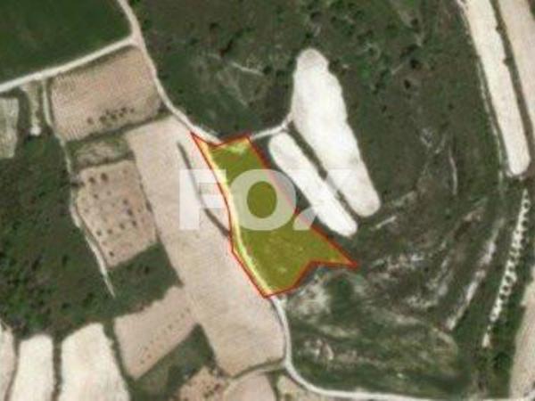 land for sale kathikas paphos 1158824 image 5504876