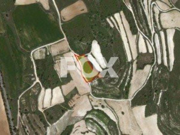 land for sale kathikas paphos 1158824 image 5504879
