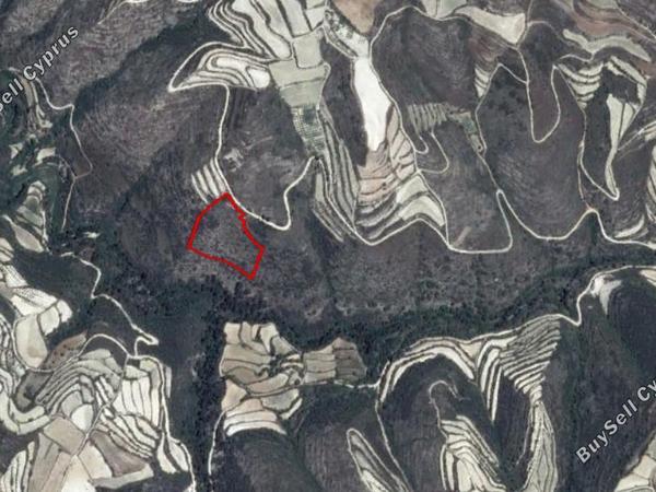 land for sale koili paphos 855824 image 15177675