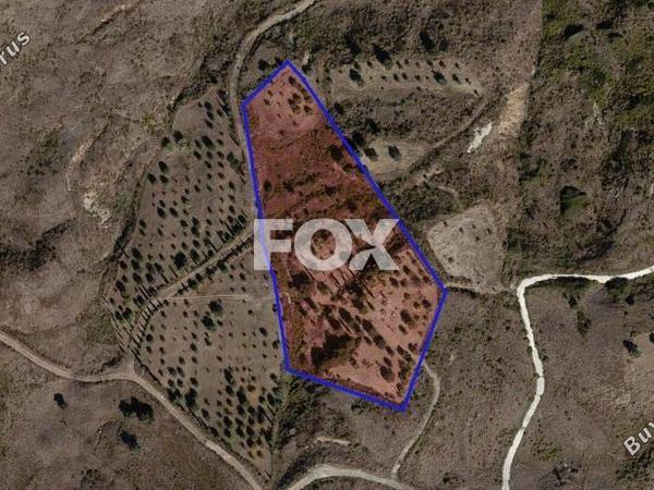 land for sale lasa paphos 1280824 image 5584731