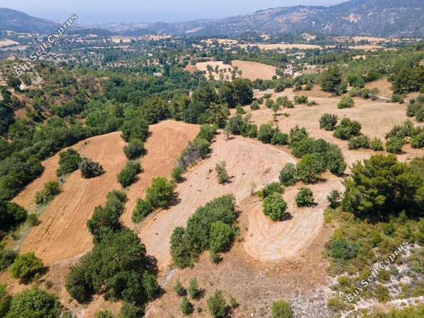 land for sale lysos paphos 1751824 image 15597622
