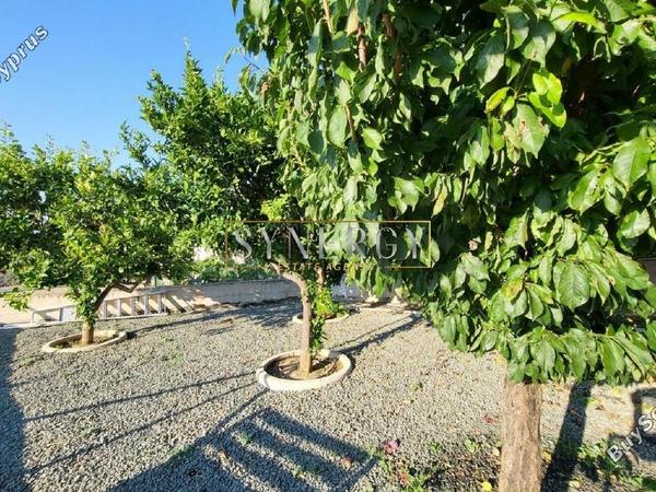4 bedroom detached house for sale politiko nicosia 1093924 image 16727054