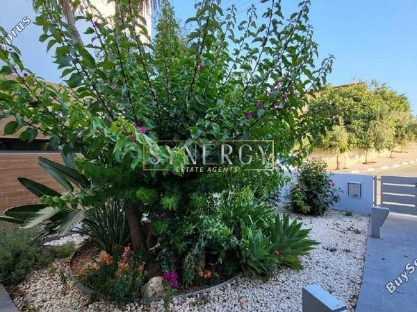 4 bedroom detached house for sale politiko nicosia 1093924 image 6793321