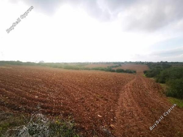 land for sale paralimni famagusta 939924 image 13340183