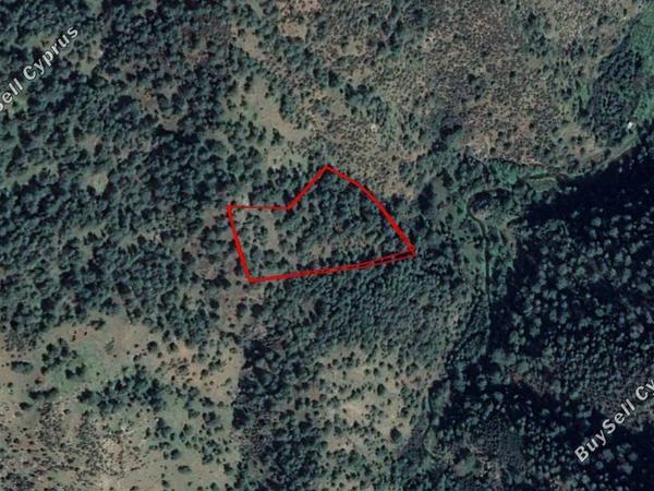 land for sale pigenia nicosia 829924 image 15664024