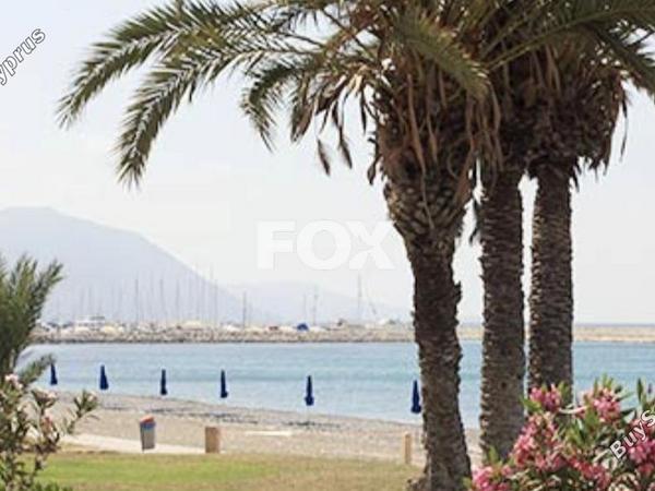 studio shop for rent prodromi paphos 1926924 image 10744642