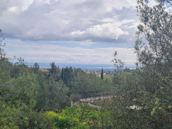 10 bedroom detached house for sale souni zanakia limassol 1799034 image 5987576