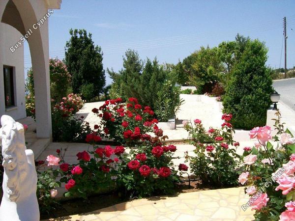 5 bedroom detached house for sale tala paphos 1685034 image 4407986