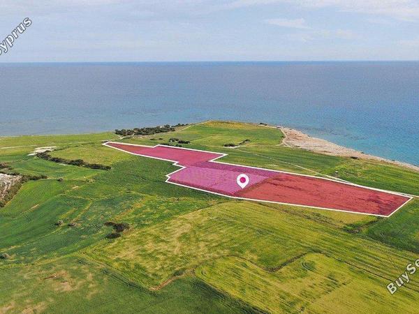 land for sale mazotos larnaca 8019034 image 12813685