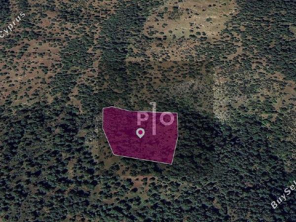 land for sale pigenia nicosia 8275134 image 15157802
