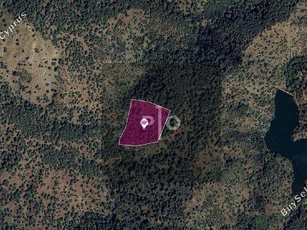 land for sale pigenia nicosia 8275134 image 15157803