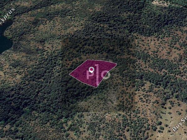 land for sale pigenia nicosia 8275134 image 15157806