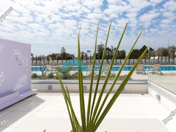 studio apartment building for sale ayia napa famagusta 1892134 image 16015178