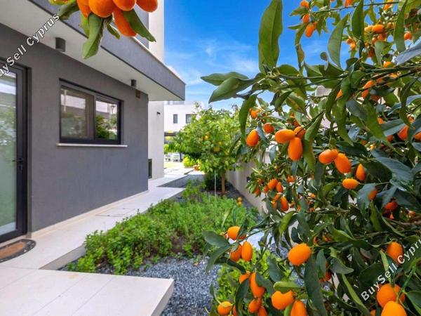 5 bedroom detached house for rent agios athanasios limassol 8160234 image 16232702