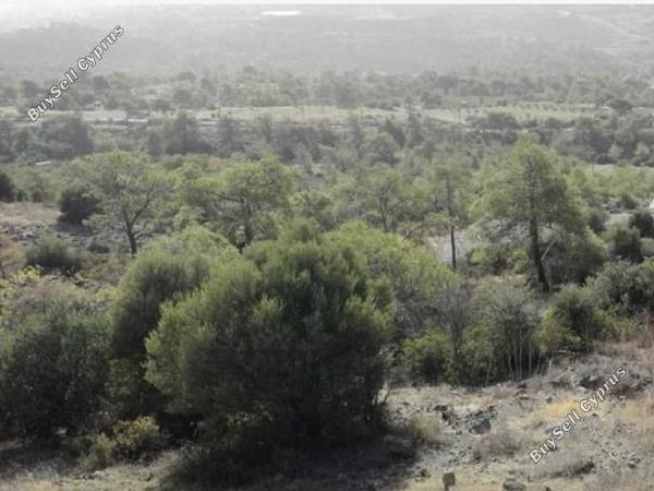 land for sale foinikaria limassol 1932234 image 14473177