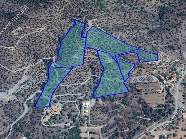 land for sale foinikaria limassol 1932234 image 14473186