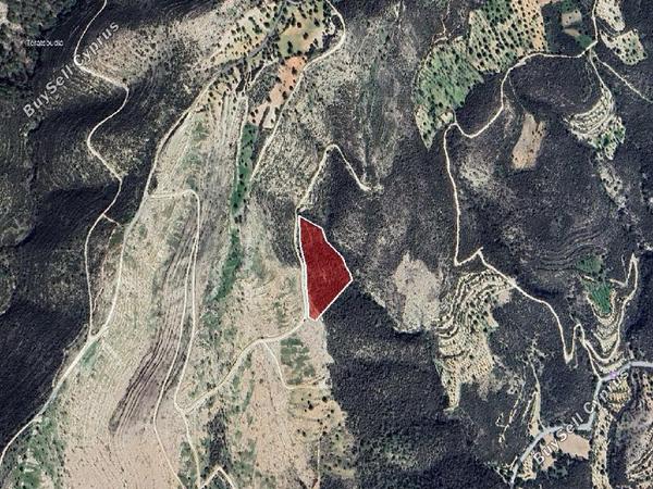 land for sale laneia limassol 8629234 image 15866672