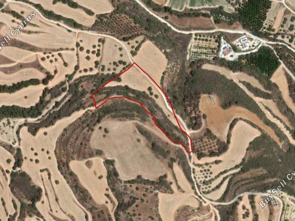 land for sale skoulli paphos 828234 image 15178824