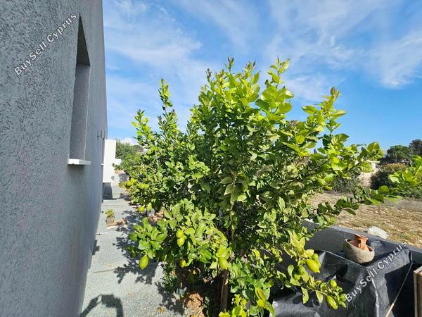 3 bedroom bungalow for sale emba paphos 7796334 image 10509825