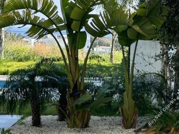 5 bedroom detached house for sale protaras famagusta 7452334 image 13136810