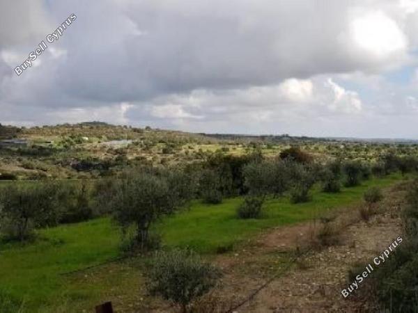 land for sale anogyra limassol 1899334 image 15597245