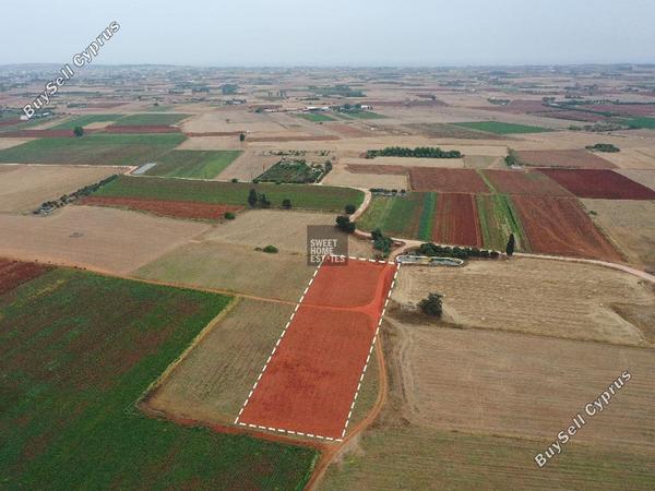land for sale avgorou famagusta 8765334 image 16560556