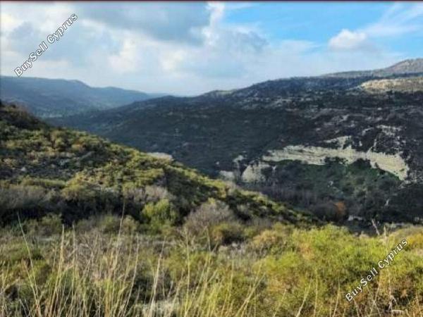 land for sale dora limassol 8140334 image 15595818