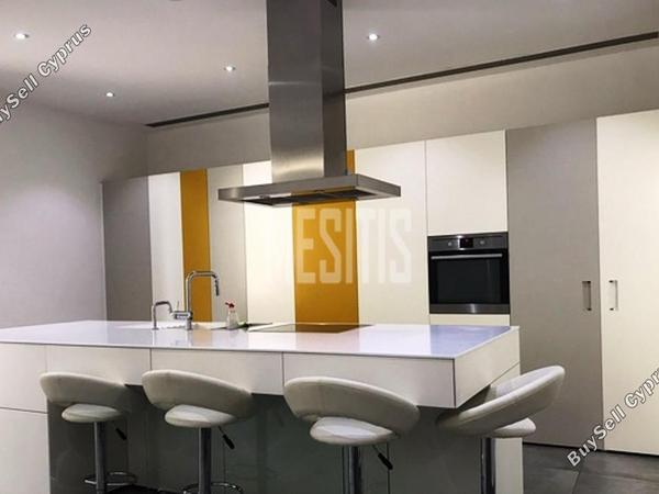 4 bedroom detached house for sale agioi trimithias nicosia 975434 image 11041280