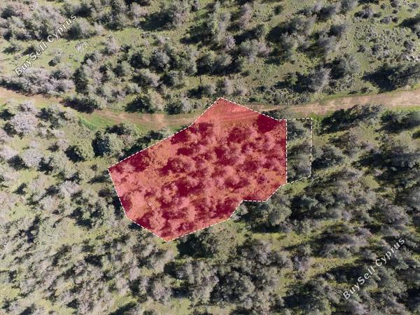 land for sale mitsero nicosia 1158434 image 15865026