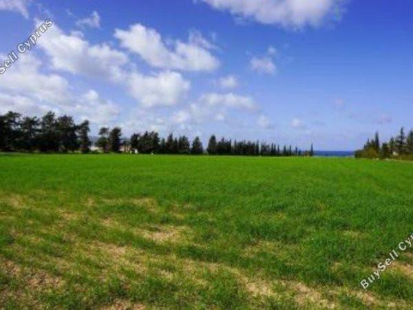 plot for sale chrysochou paphos 8237434 image 14228904