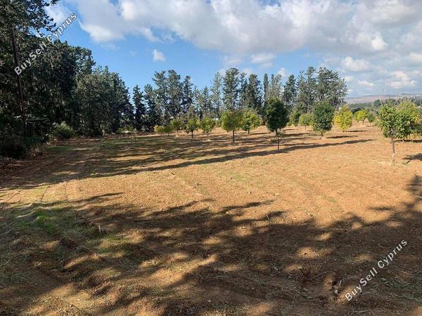 plot for sale mandria pafou paphos 1898434 image 14216012