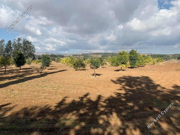 plot for sale mandria pafou paphos 1898434 image 14216014