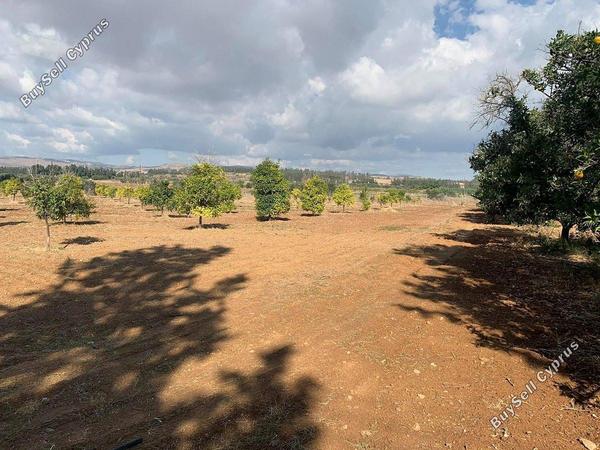 plot for sale mandria pafou paphos 1898434 image 14216016