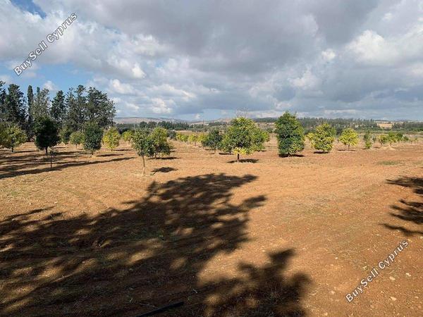 plot for sale mandria pafou paphos 1898434 image 14216021