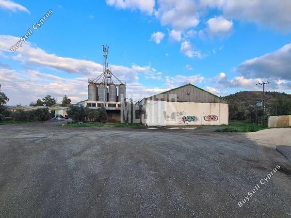 studio warehouse for sale agia varvara nicosias nicosia 8249434 image 13880375