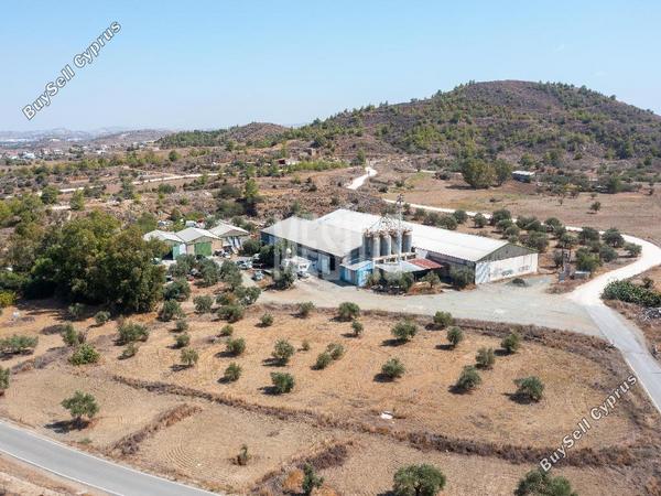 studio warehouse for sale agia varvara nicosias nicosia 8249434 image 13880377