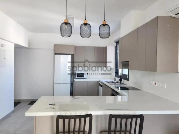 2 bedroom apartment for rent platy aglantzias nicosia 8748534 image 16465844