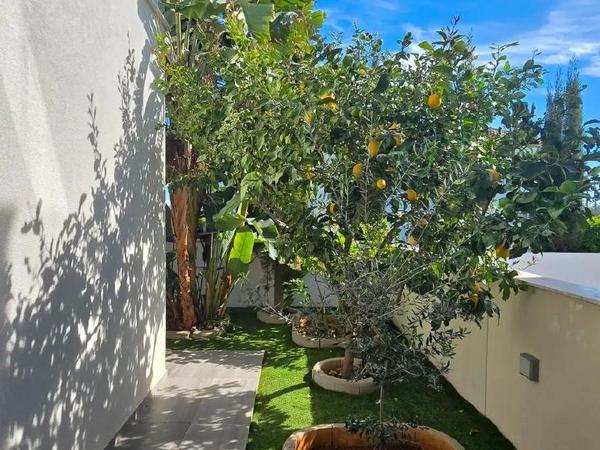 3 bedroom detached house for sale erimi limassol 8726534 image 16331831