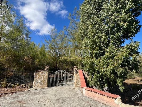 4 bedroom detached house for sale klirou nicosia 1232534 image 16735579