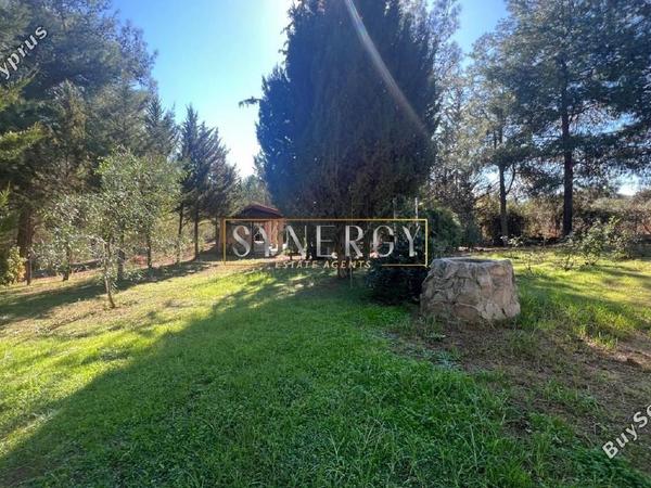 4 bedroom detached house for sale klirou nicosia 1232534 image 16735582