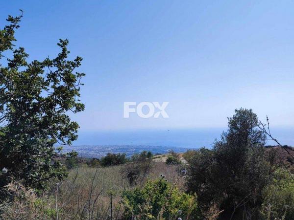 land for sale koili paphos 1161534 image 5559604