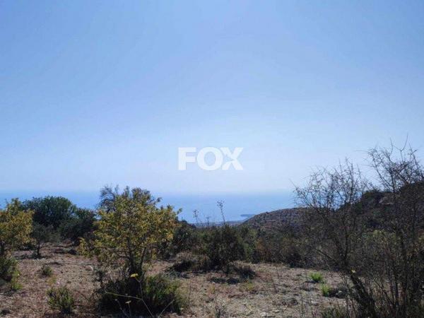 land for sale koili paphos 1161534 image 5559606