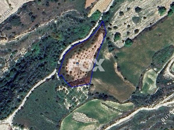 land for sale koili paphos 1161534 image 5559611