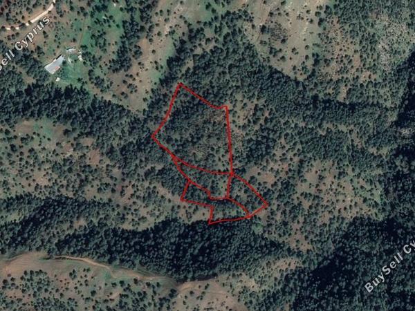 land for sale pigenia nicosia 829534 image 15664178