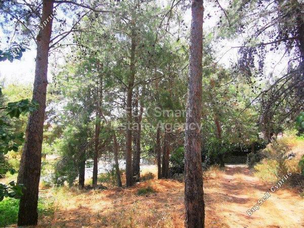 plot for sale agridia limassol 1151534 image 5136452