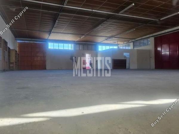 studio warehouse for rent aradippou larnaca 8903534 image 17387950